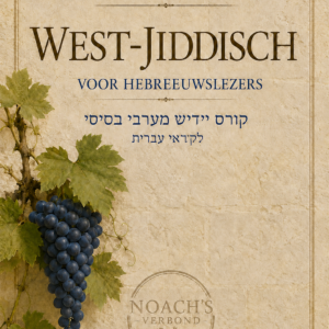 Vergevorderdencursus West-Jiddisch